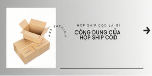 Công dụng của hộp ship cod avt