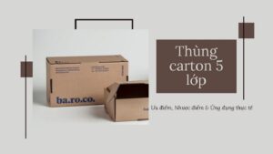 Thùng carton 5 lớp avt1