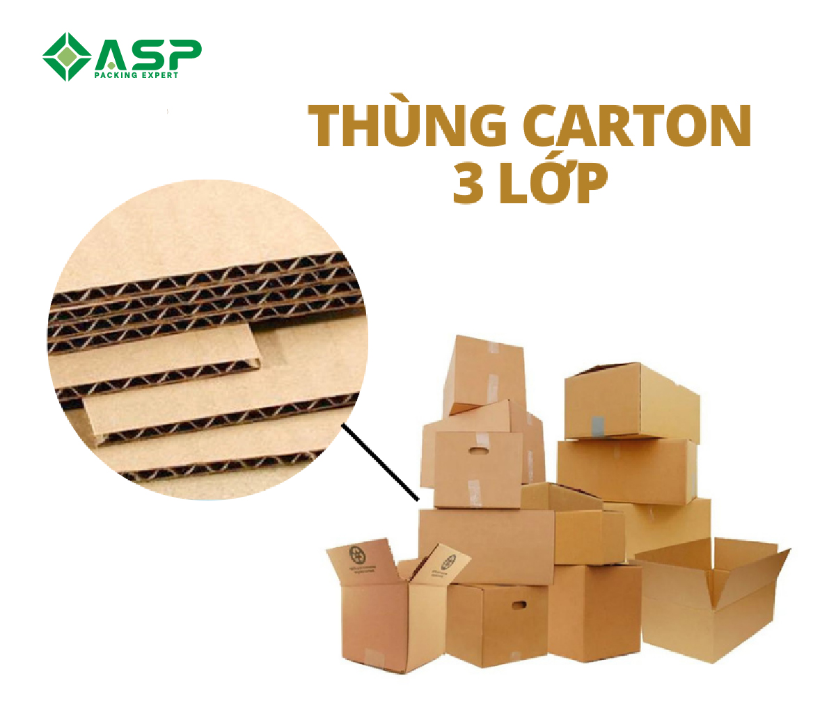 Lựa chọn kích thước, kiểu dáng sản phẩm hộp carton là bước không thể thiếu để có sản phẩm chất lượng