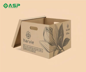 hộp carton đựng đồ mỹ nghệ xuất khẩu 6