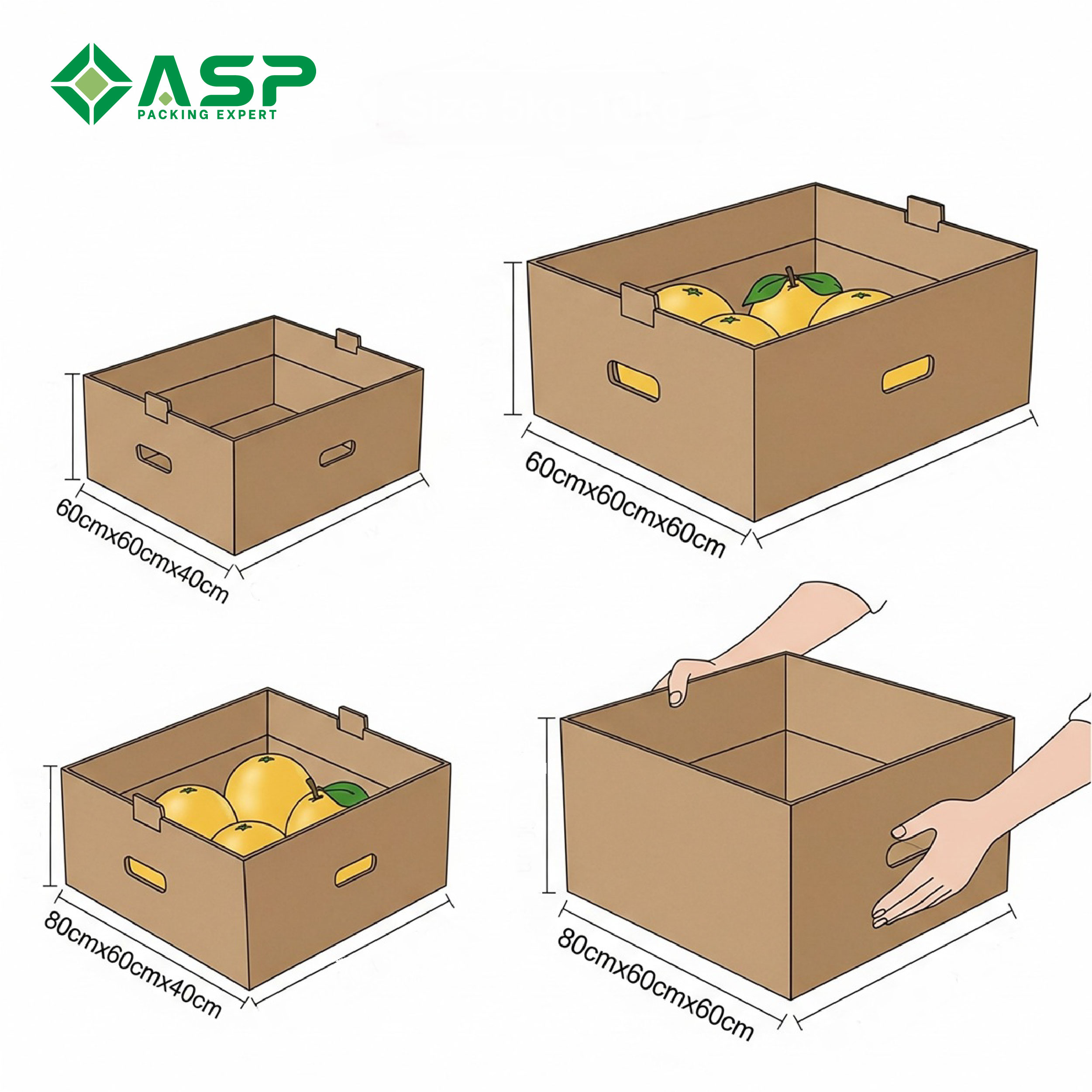 Thùng carton đựng bưởi 2