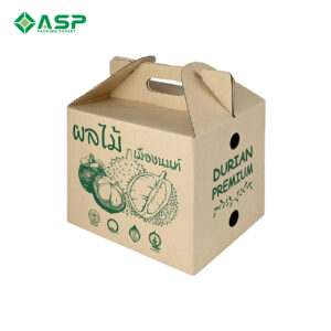 Thùng carton đựng sầu riêng 5