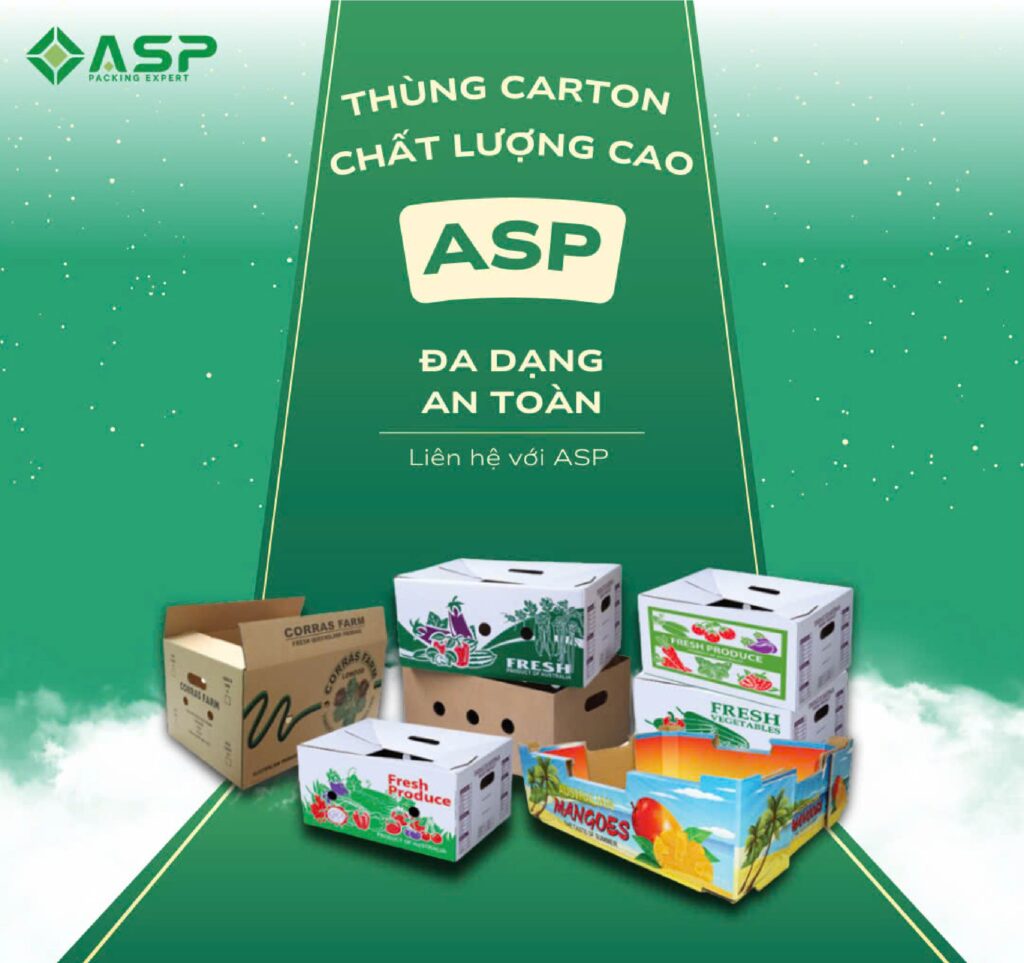 Địa điểm cung cấp thùng carton tại KCN Đồ Sơn 7